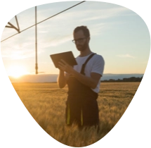 Acompañamiento en siembra y paquetes tecnológicos Acompañamiento en siembra y paquetes tecnológicos