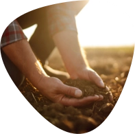 Análisis y preparación de suelos Análisis y preparación de suelos