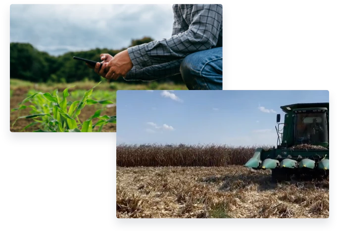 Fotos del campo fotos del campo