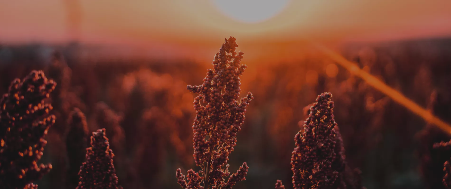 home banner 2 home banner 2