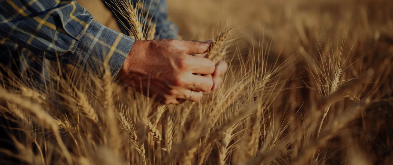 home-banner-3 home banner 3 1