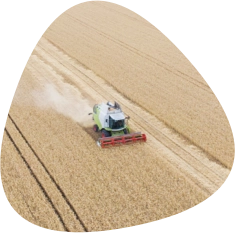 Recursosi nformáticos Recursosi nformáticos