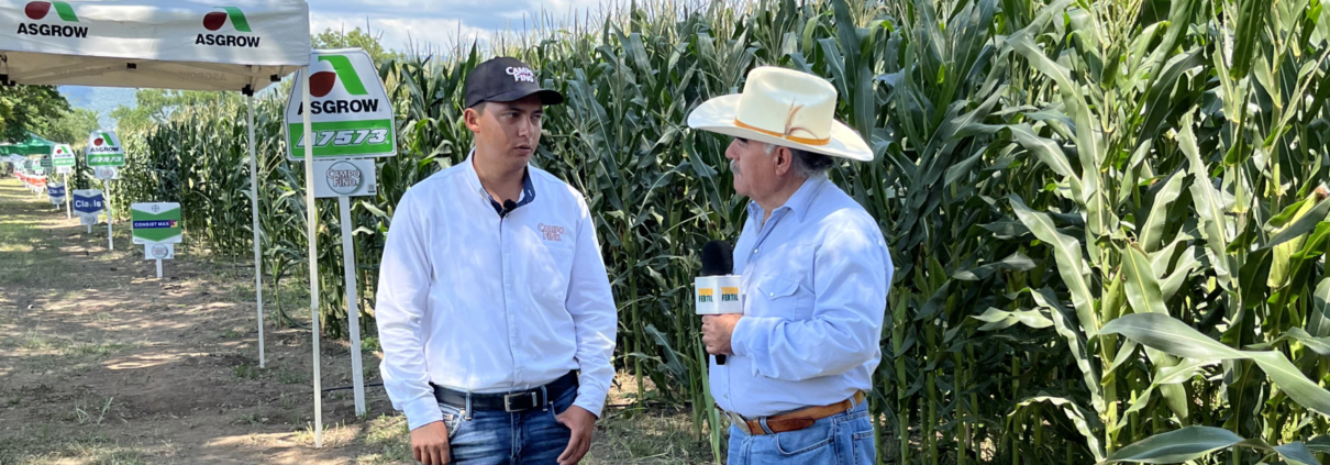 Evento en Verde CampoFino en Autlán, con excelente rendimiento y uniformidad de mazorca.