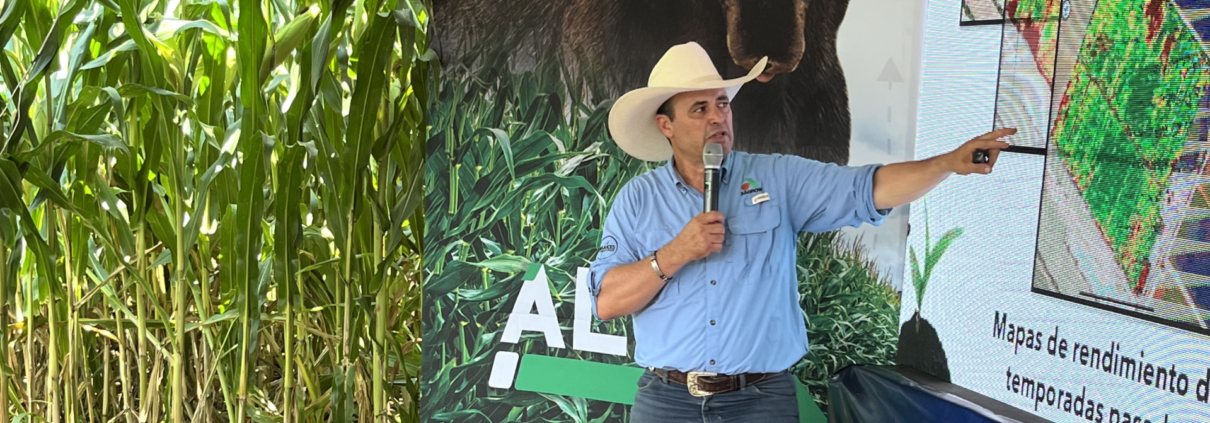 Representantes de Campofino en la Parcela de Tecnología Bayer en Jalisco, recibiendo capacitación sobre nuevas técnicas de cultivo y novedades de Bayer.